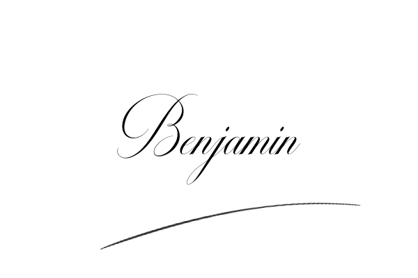 The best stylish Benjamin name signature simple easy in English
