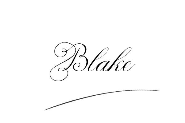 The best stylish Blake name signature simple easy in English