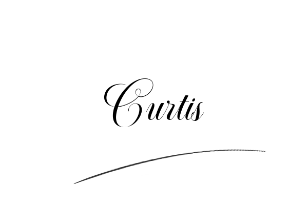 The best stylish Curtis name signature simple easy in English