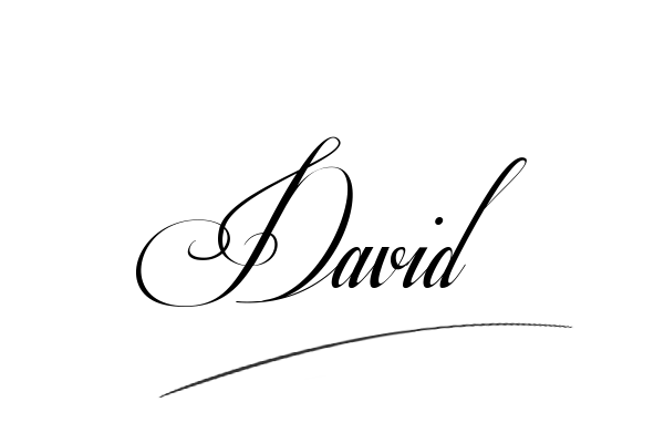 The best stylish David name signature simple easy in English