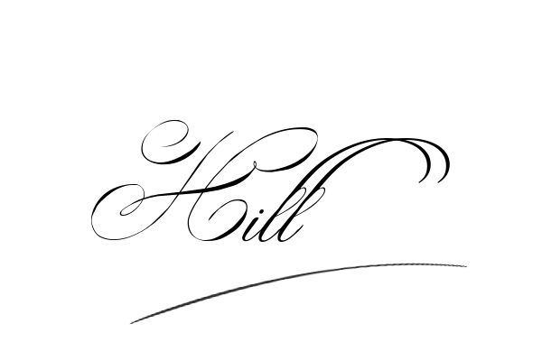 The best stylish Hill name signature simple easy in English