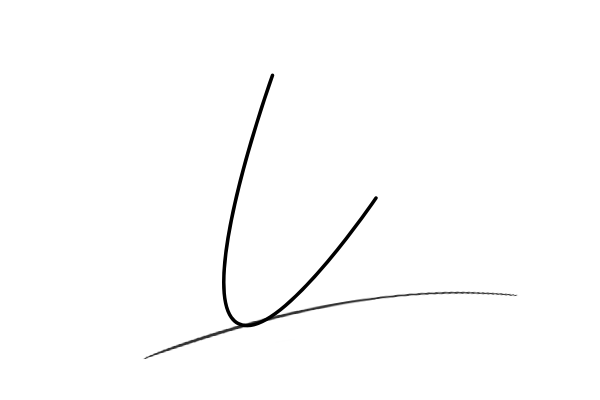 The best stylish L name signature simple easy in English