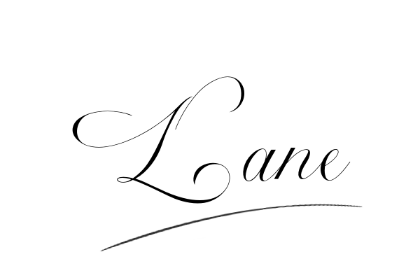 The best stylish Lane name signature simple easy in English