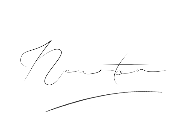 The best stylish Newton name signature simple easy in English