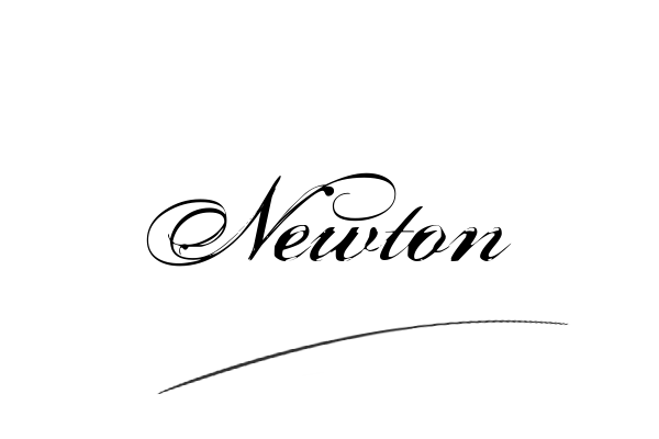 The best stylish Newton name signature simple easy in English