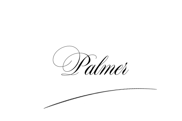 The best stylish Palmer name signature simple easy in English