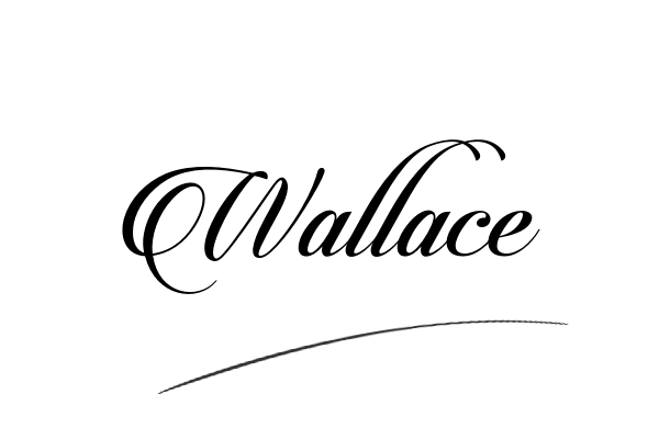 The best stylish Wallace name signature simple easy in English
