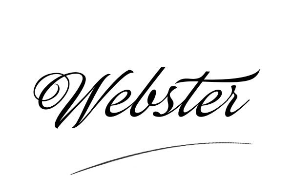The best stylish Webster name signature simple easy in English