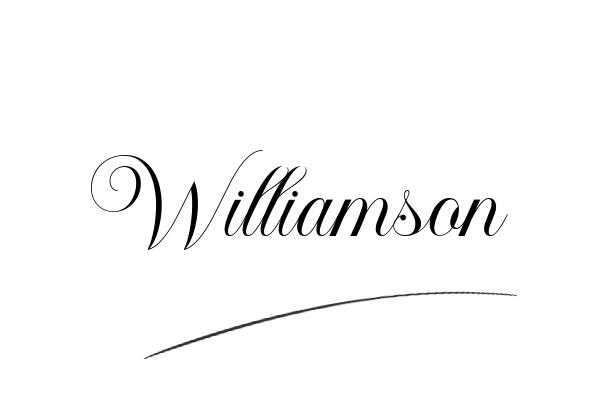 The best stylish Williamson name signature simple easy in English