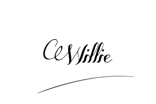 The best stylish Willie name signature simple easy in English