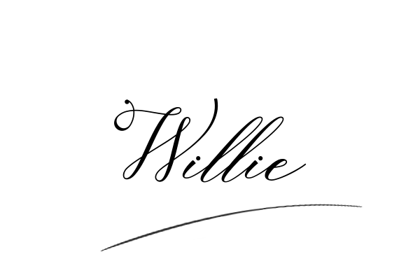 The best stylish Willie name signature simple easy in English