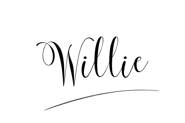 The best stylish Willie name signature simple easy in English