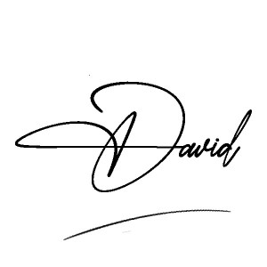 The best stylish David name signature simple easy in English