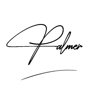 The best stylish Palmer name signature simple easy in English