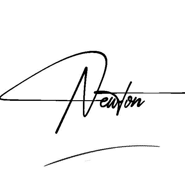 The best stylish Newton name signature simple easy in English