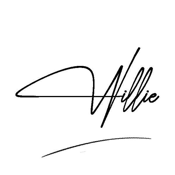 The best stylish Willie name signature simple easy in English